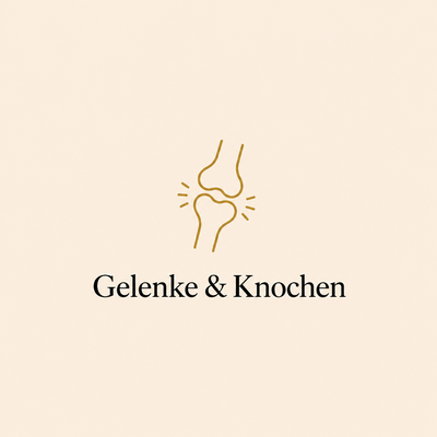 Gelenke & Knochen